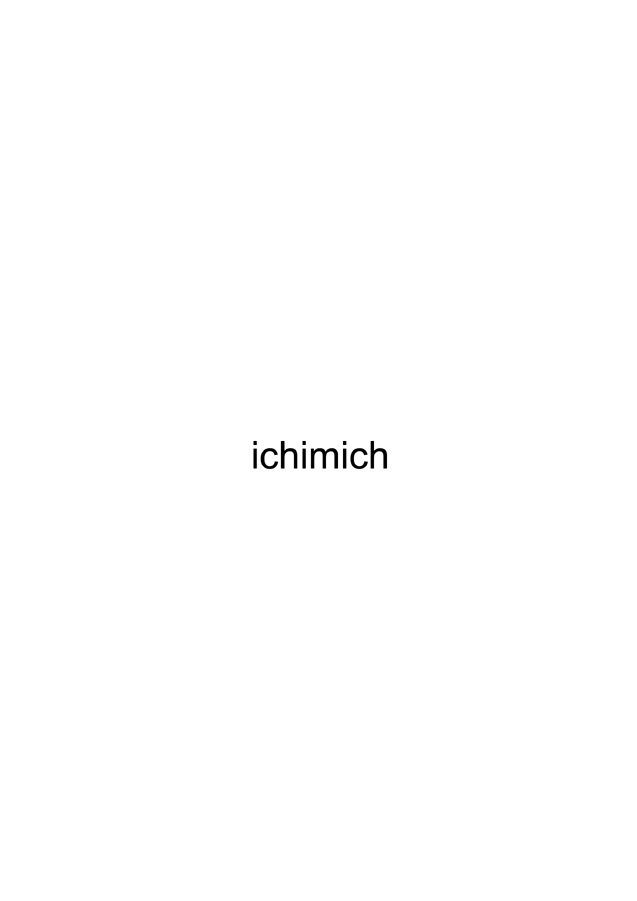 marc mer: ichimich, 16976.2, 2007                            copyright: marc mer | vg bild-kunst | vg wort